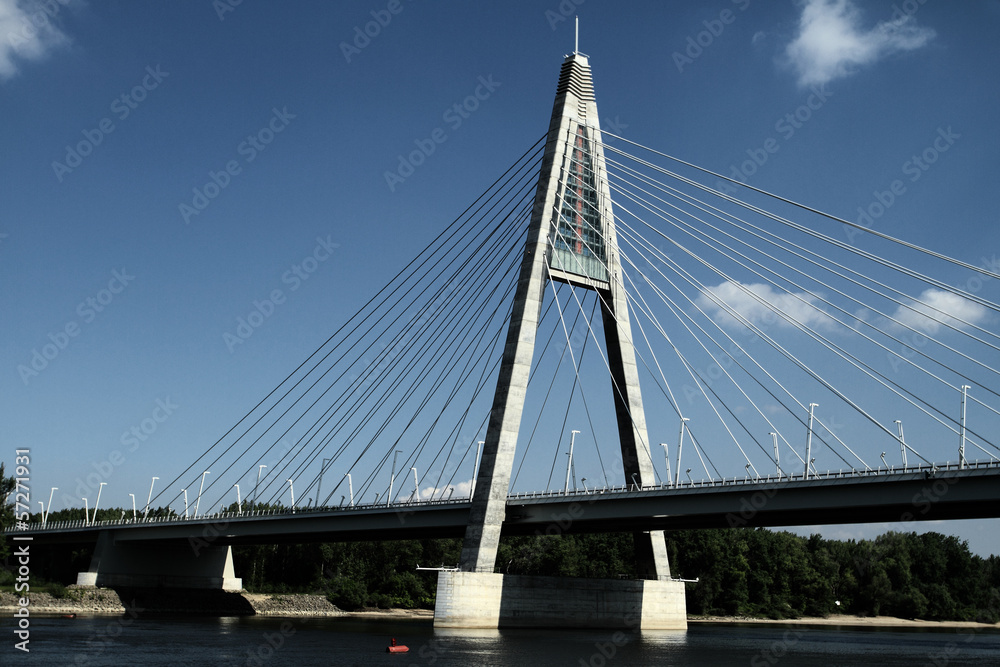 Detail of bridge (Hungary)