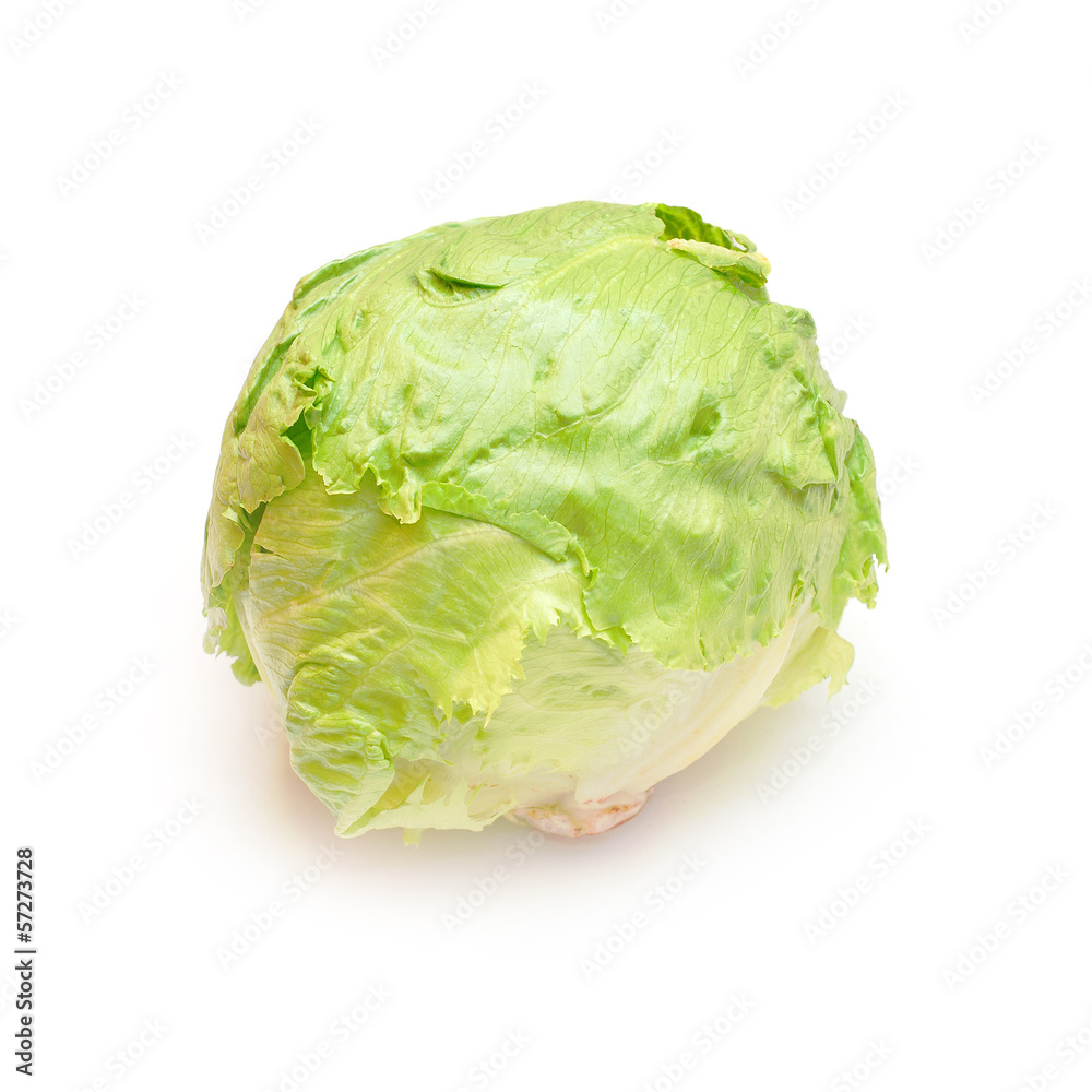 cabbage cabbage