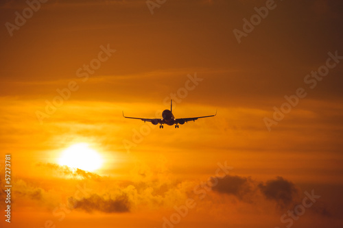 Silhouette of the big plane on a sunset background © Evgenii Starkov