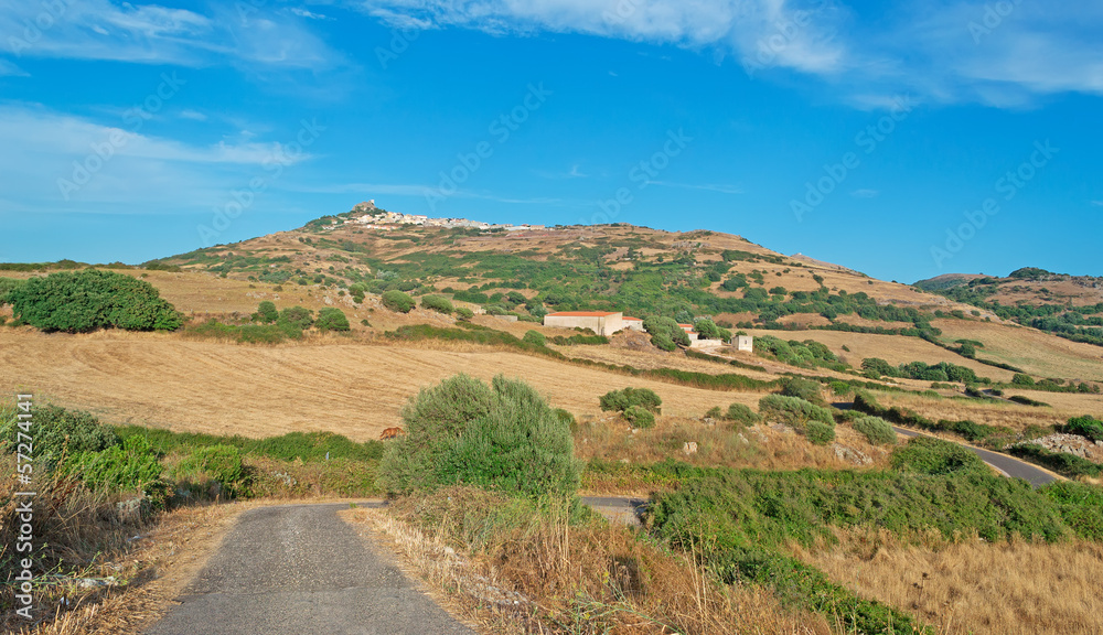 Fototapeta premium osilo under a blue sky
