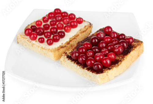 Delicious toast with cranberries isolated on white