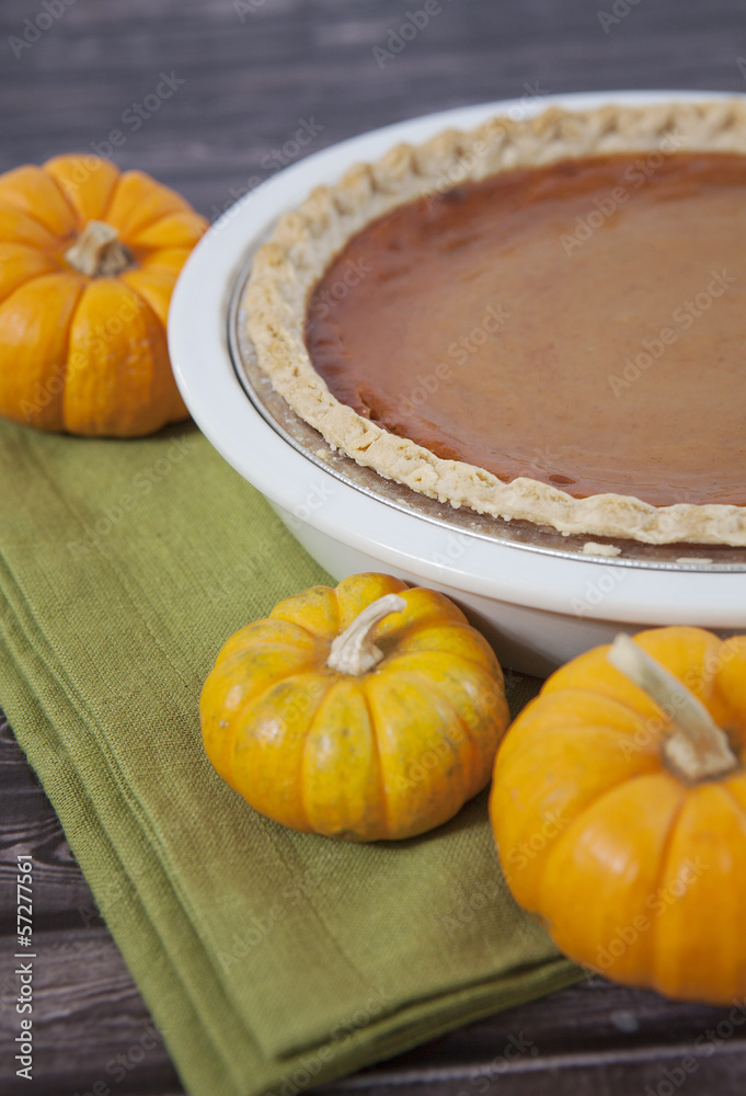 Pumpkin Pie Pumpkin Pie