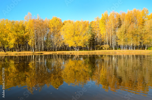 Autumn landscape on lake