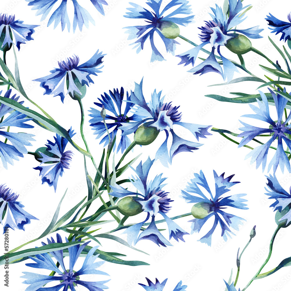 Cornflowers Seamless Pattern