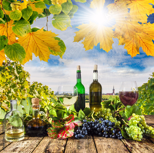 Fototapeta Naklejka Na Ścianę i Meble -  Weinprobe im Herbst
