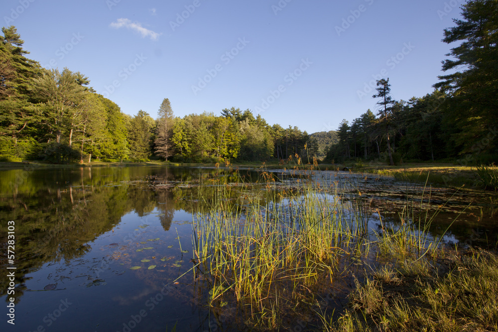 Obraz premium Pond at Wild Acres Park in Pittsfield, Massachusetts