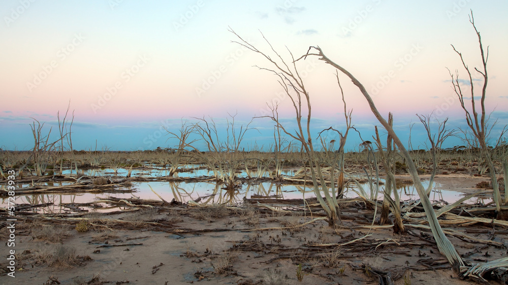Salty lake in australian western bush