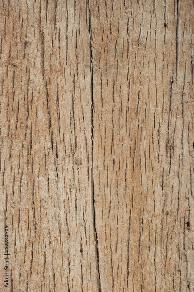 wood texture wood texture