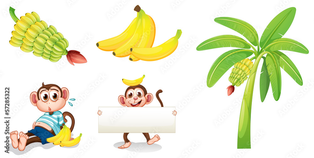 Obraz premium Banany i małpy z pustym szyldem
