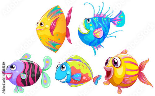 A group of smiling fishes