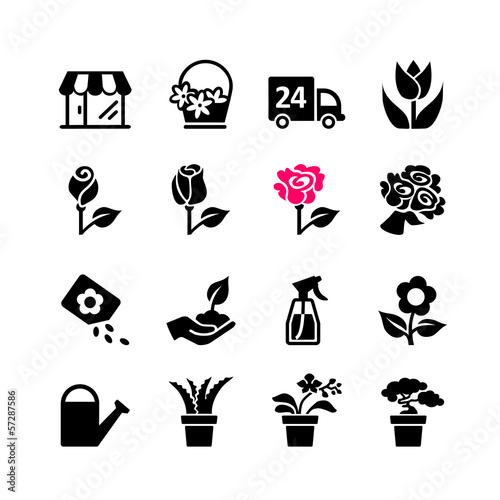 16 Web icon set - florist, flower shop, bouquet, pot