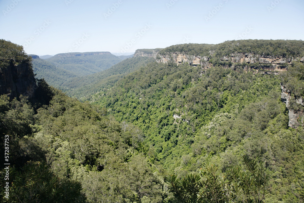 Obraz premium Kangaroo Valley