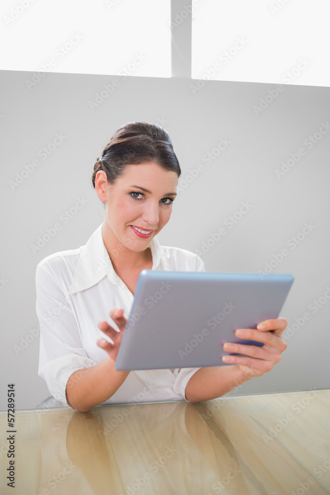 Smiling pretty businesswoman working on tablet pc Smiling pretty businesswoman working on tablet pc