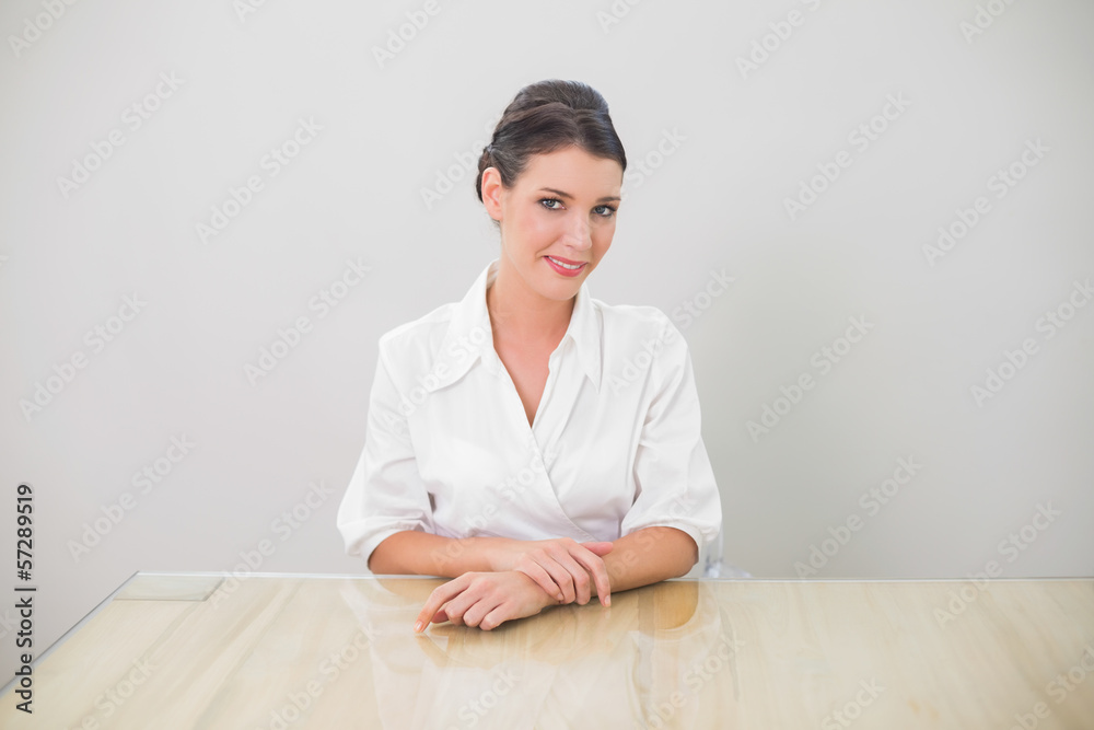Cheerful brunette businesswoman posing Cheerful brunette businesswoman posing