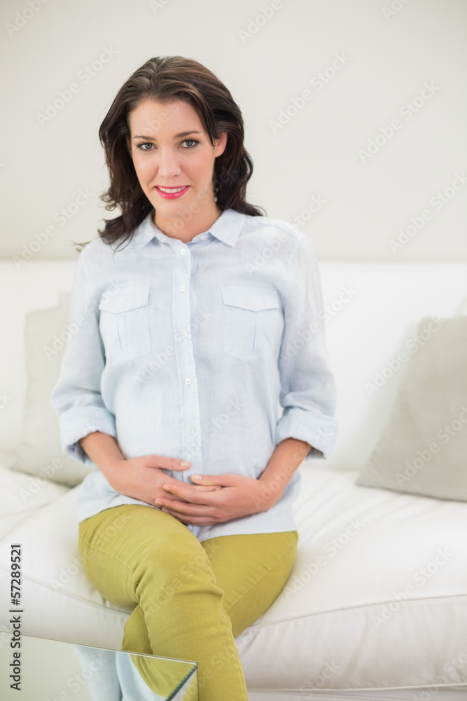 Peaceful pregnant brown haired woman holding her belly Peaceful pregnant brown haired woman holding her belly