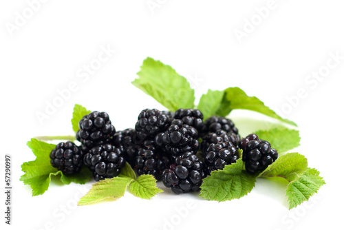 Blackberries