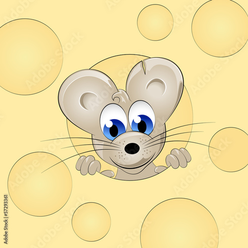 mouse looking out of cheese