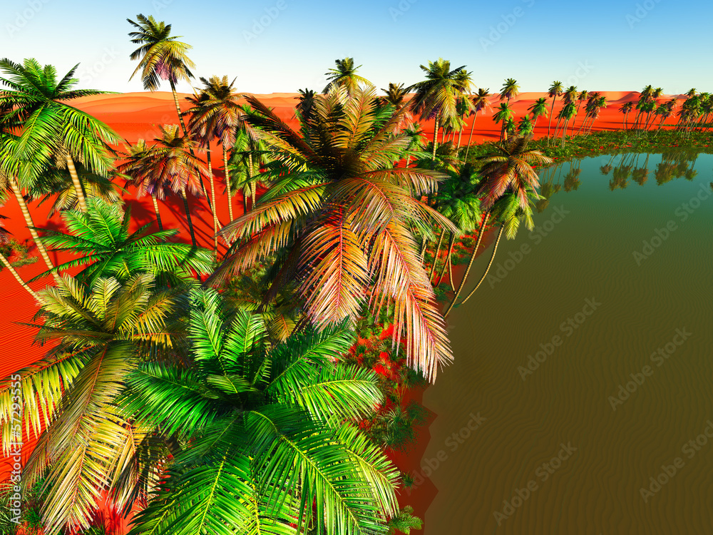 Fototapeta premium Beautiful natural background -African oasis