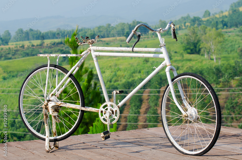 Fototapeta premium Old bicycle park with green background