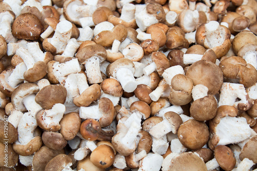 mushrooms on Market