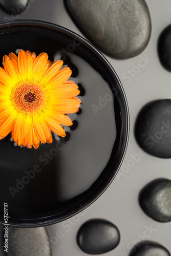 Orange flower floating in a bowl surrounded by black pebbles