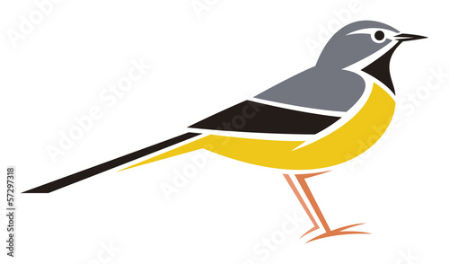 Grey Wagtail