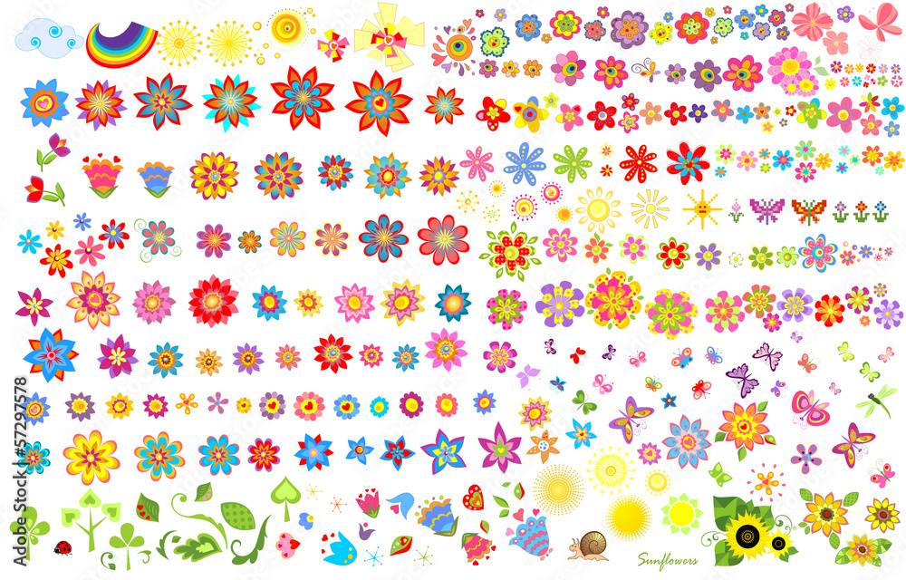 Summer flowers, sun and butterflies
