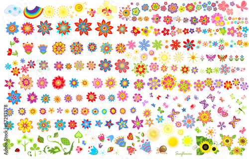 Summer flowers, sun and butterflies