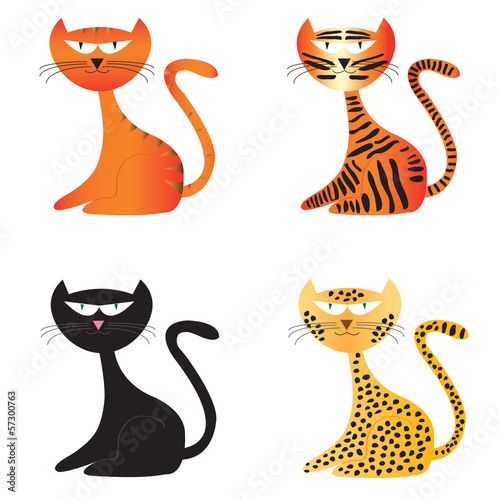 Photography set of cats and wild cats