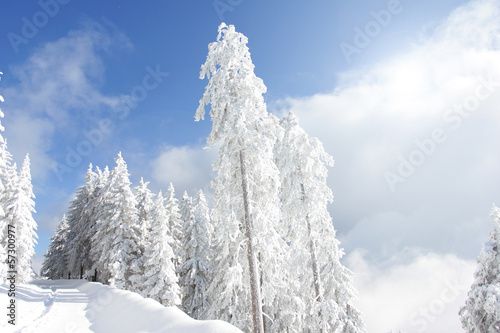 verschneite Landschaft