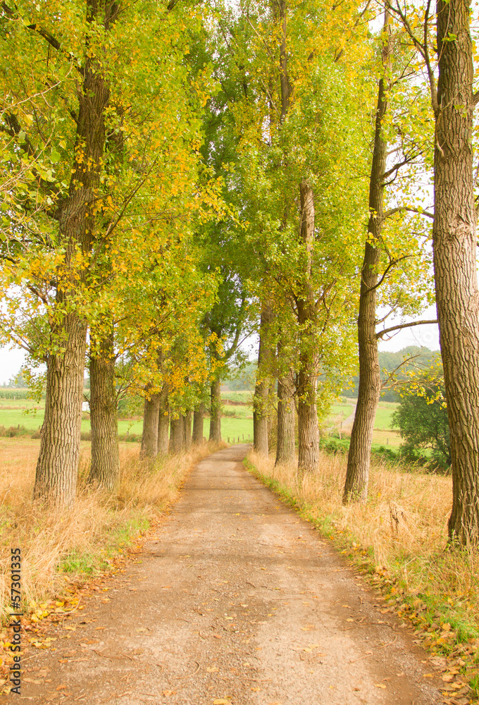 herbtliche Allee