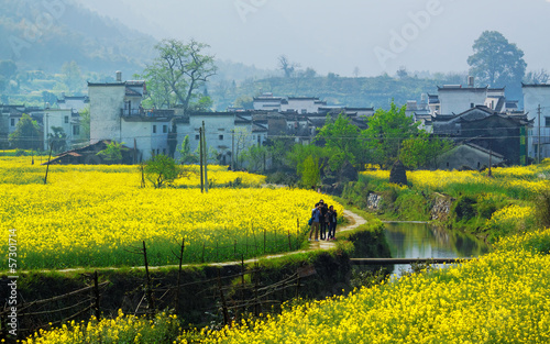 Rural landscape in wuyuan county, jiangxi province, china. photo