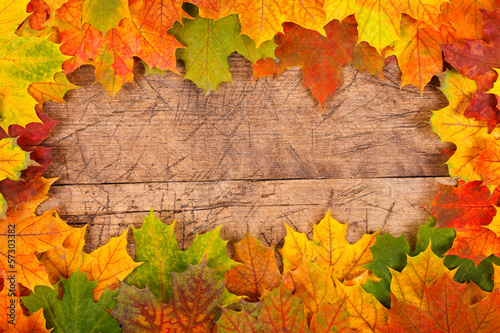 Fall leaf border