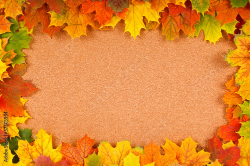 Fall border on corkboard