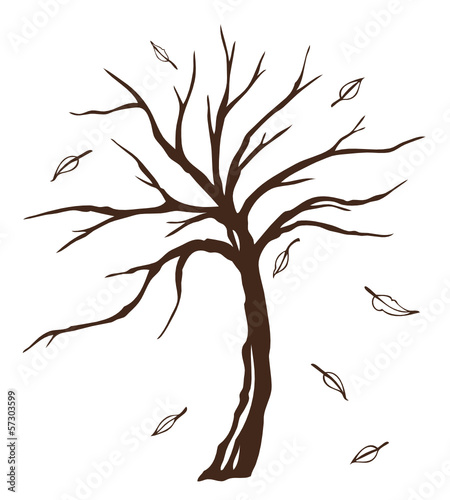 Kleiner knorriger Baum mit fallenden Blättern. Herbst.