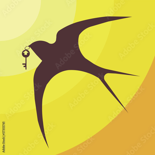 swallow