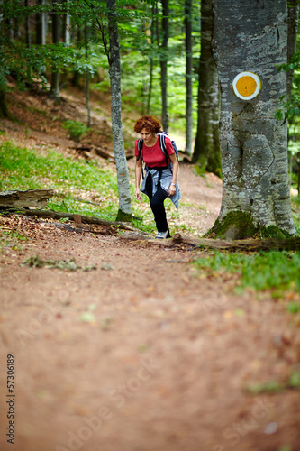 Female tourist hiking in a mountain forest © Xalanx