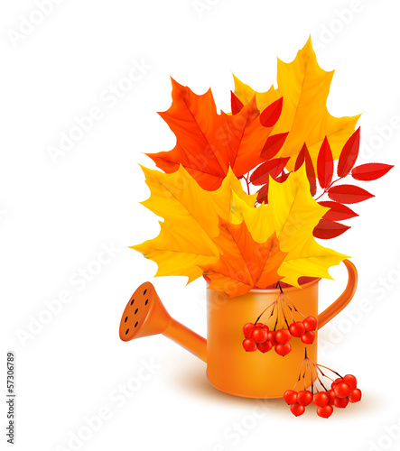 Autumn background with colorful leaves growing in a watering can