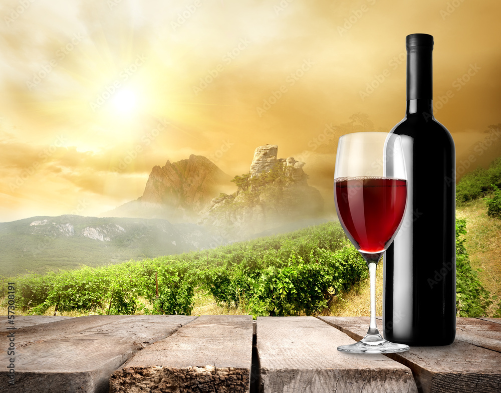 Vineyard and wine