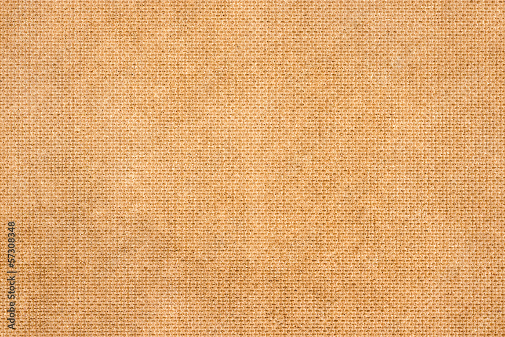 Fototapeta premium Wooden texture