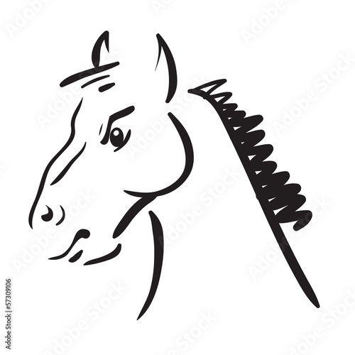 an horse on white background