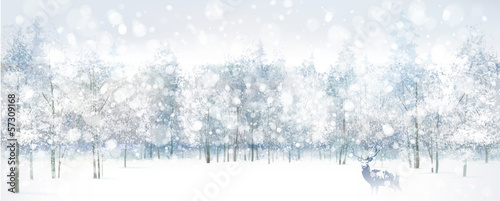 Vector of winter scene with deer on forest background.