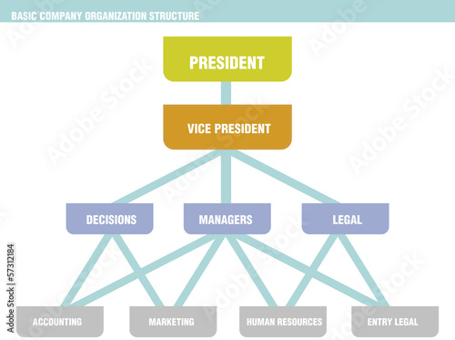 Basic Company Organization Structure Chart