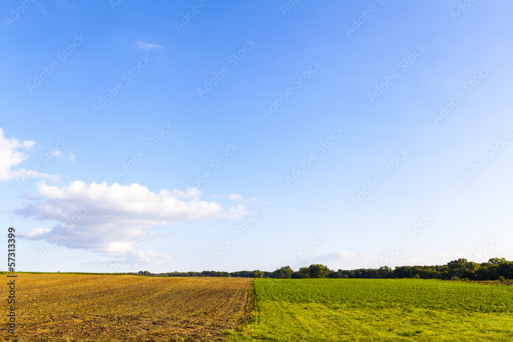 American Farmland With Blue Cloudy Sky