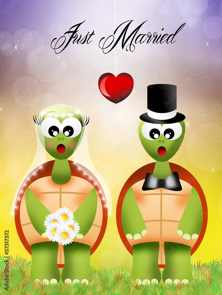 Wedding of turtles