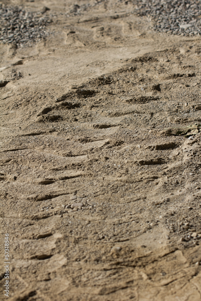 traces of the car wheels on the ground