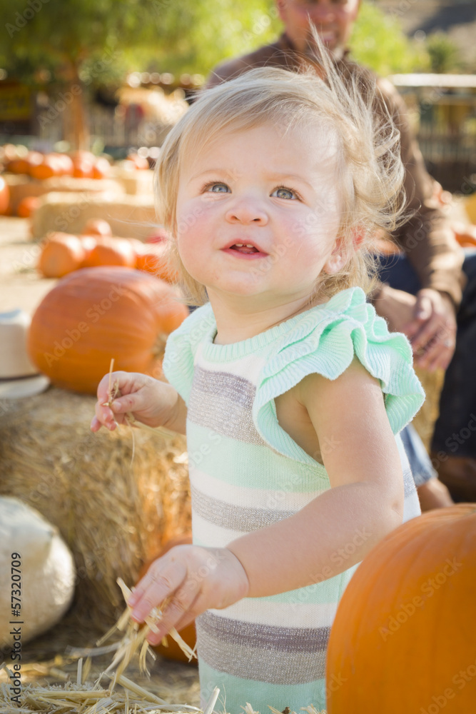 Fototapeta premium Adorable Baby Girl Having Fun at the Pumpkin Patch.