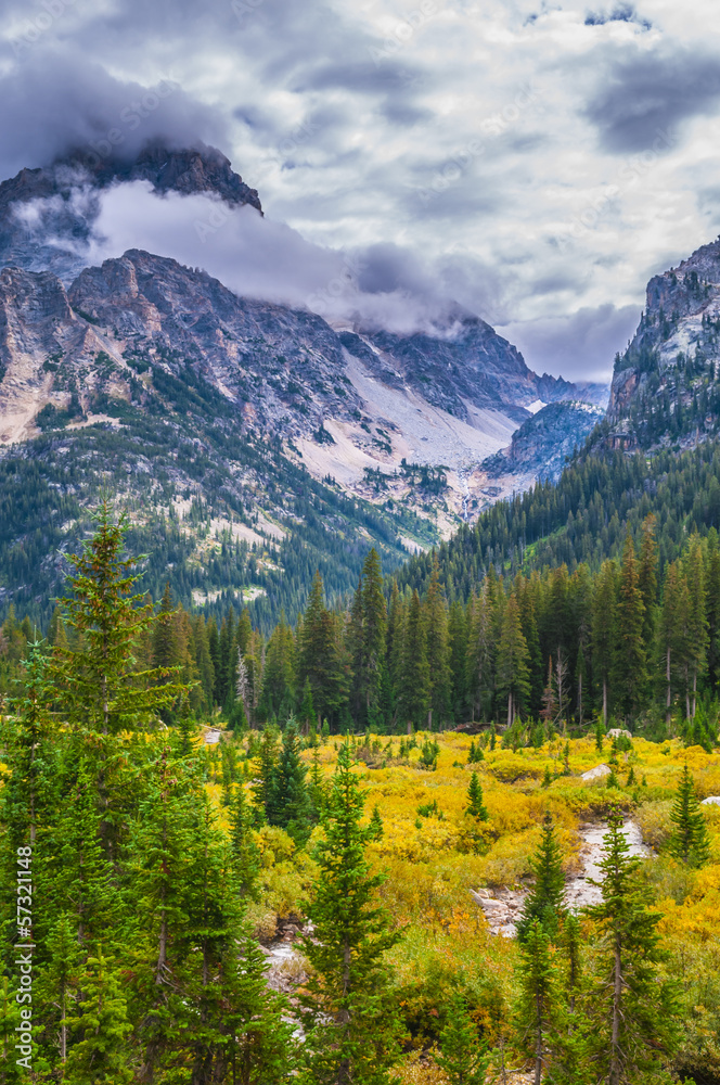 Fototapeta premium Cascade Canyon - Grand Teton National Park