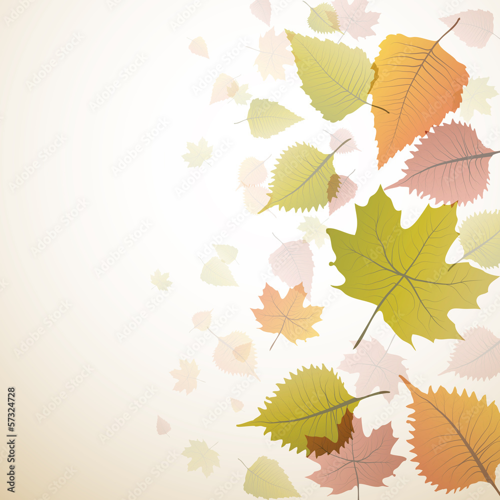 Vector autumnal background