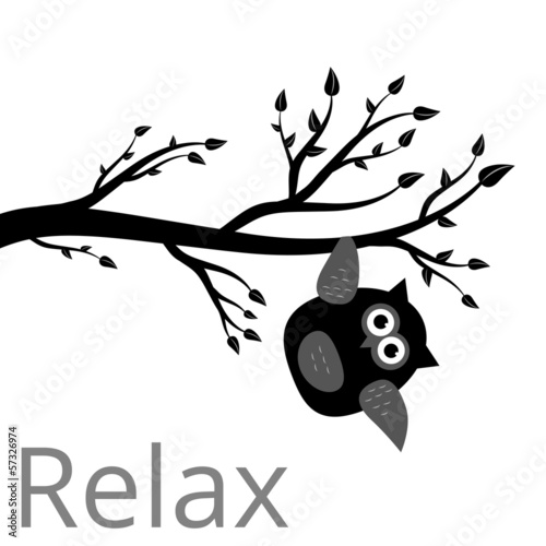 Ast Eule Relax entspannen abhängen